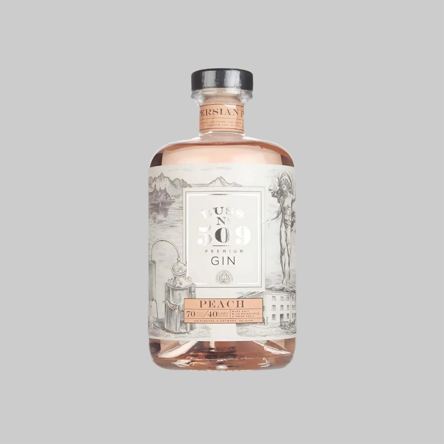 Buss No. 509 Persian Peach Gin 700ml 40.0% | TIME2DRINK