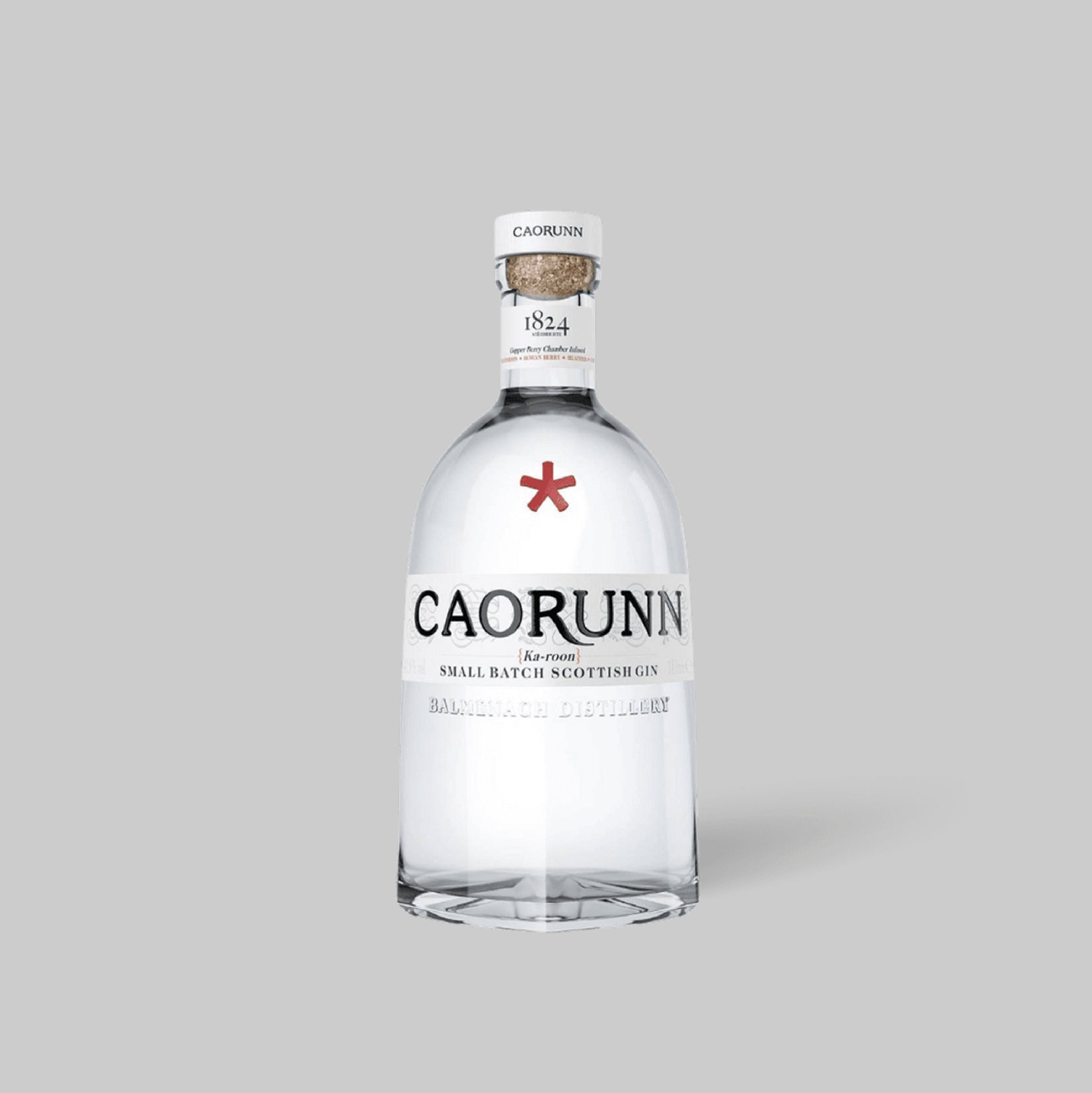 Caorunn Scottish Gin 700ml 41.8% | TIME2DRINK