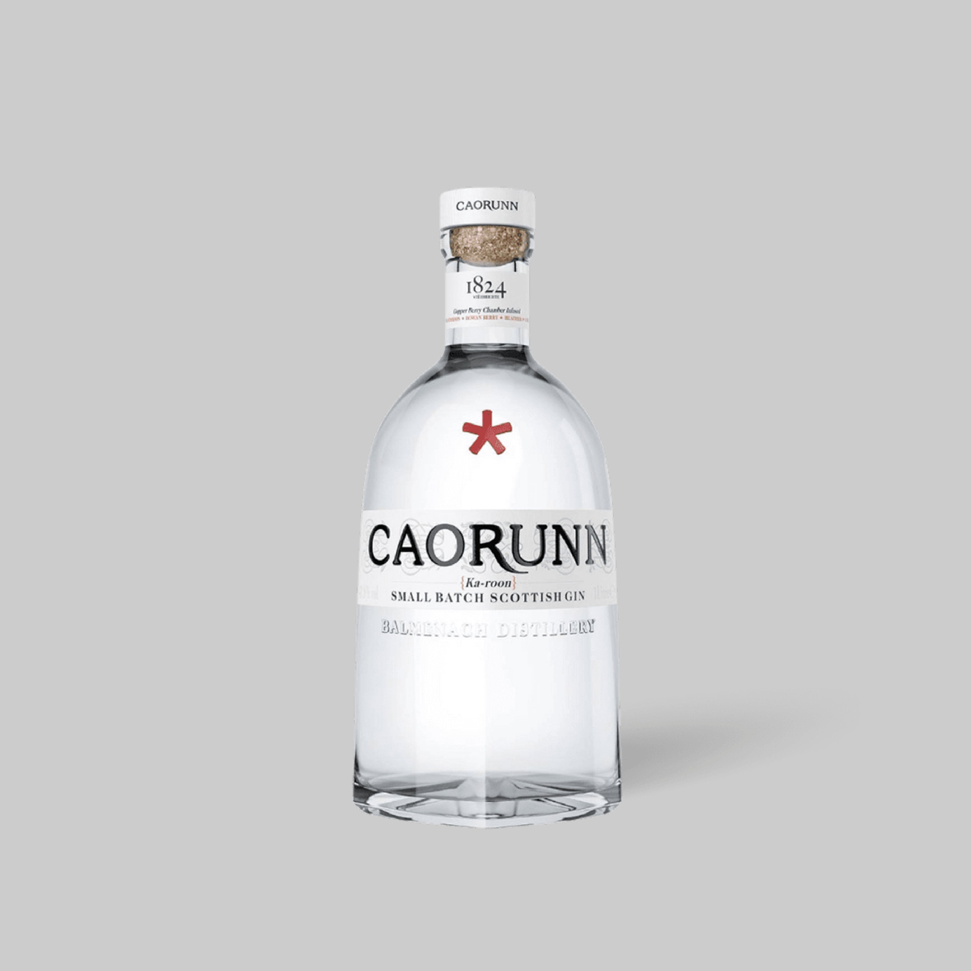Caorunn Scottish Gin 700ml 41.8% | TIME2DRINK