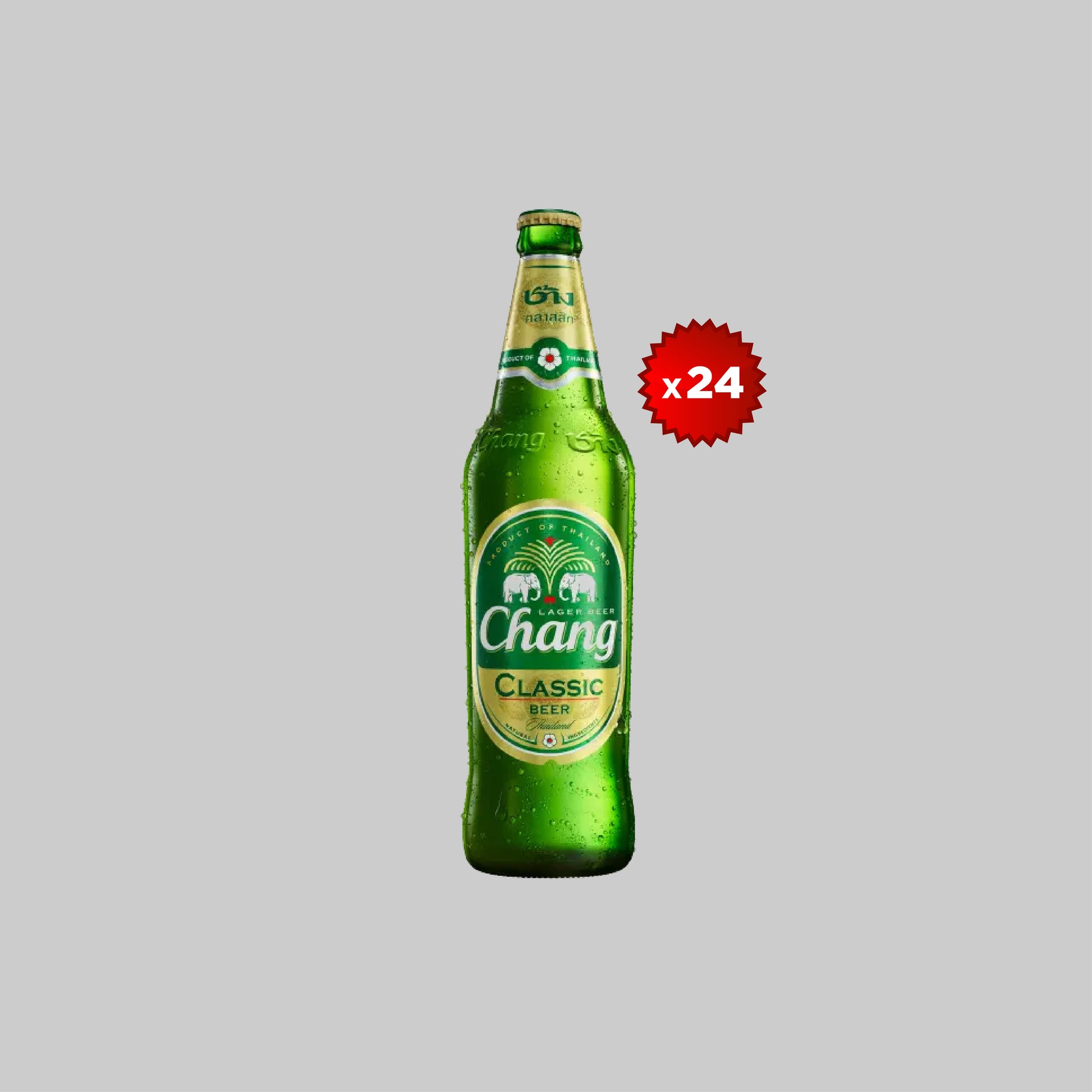 Chang Small Bottle 24x320ml 4.8% | Time2Drink